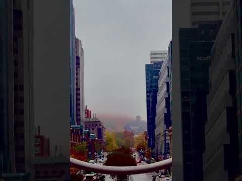 The Ring at Place Ville Marie framing rainy Montréal, autumn trees and mist