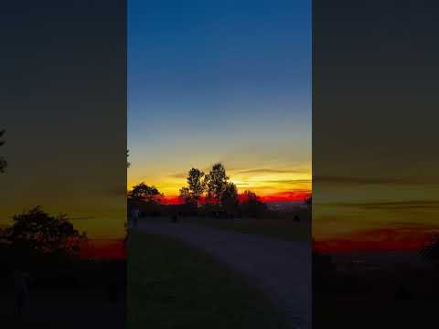 Autumn trees beneath a red and gold evening sky